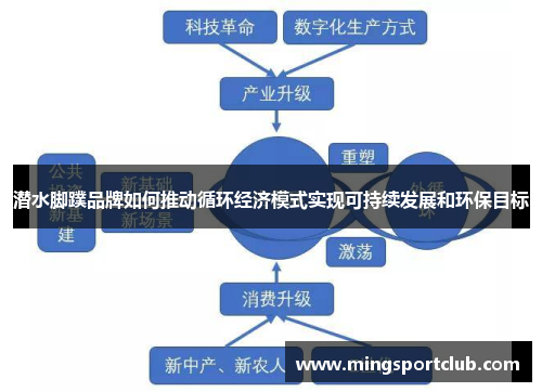 潜水脚蹼品牌如何推动循环经济模式实现可持续发展和环保目标