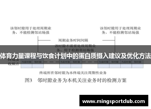 体育力量课程与饮食计划中的蛋白质摄入建议及优化方法